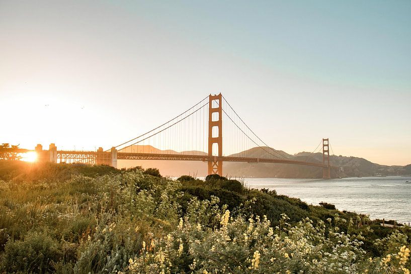 Golden Gate mit Frühlings-Wildblumen, San Francisco, USA von Aloke Design