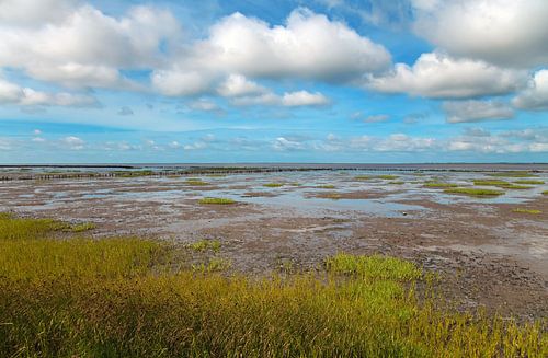 Wadden Sea