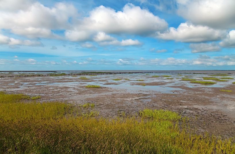 Wadden Sea by Bo Valentino