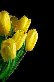 Tulpenstrauss von Thomas Jäger