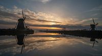 Kinderdijk in the early morning.