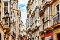 Old town of Cádiz by Uwe Merkel thumbnail