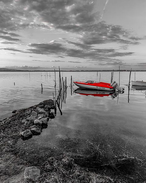 Bateau rouge von Catherine Fortin