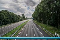 A16 op zaterdagmiddag
