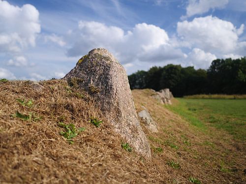 Langdolmen Lindeskov, Ørbæk, Denmark