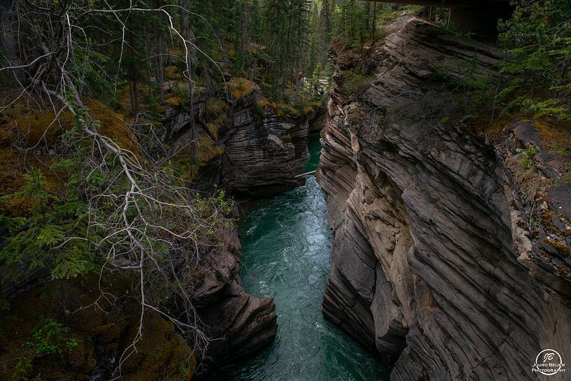 Athabasca-Wasserfälle von Juurd Beijer Photography