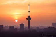 Rotterdam Dreams van Claire Droppert thumbnail