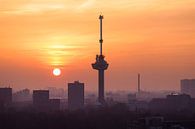 Rotterdamer Träume von Claire Droppert Miniaturansicht