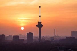 Les rêves de Rotterdam