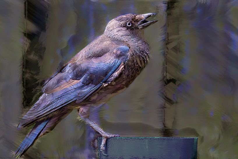 Peinture numérique de l'image du choucas par Alida van Luijn-Toet