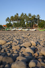 Colourful jukung fishing boats beneath palm trees, a haven in Medewi, Bali by Fotos by Jan Wehnert