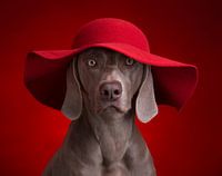 The Lady in Red
