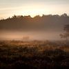 Matin d'automne sur les landes sur Caatje Clicks