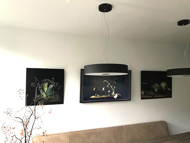 Stilleven artisjok