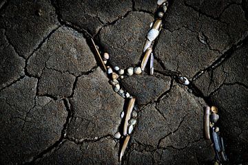 aangespoeld aan het strand van Ed Dorrestein