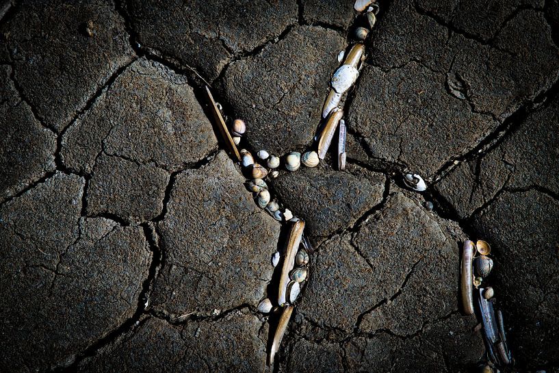 stranded on the beach by Ed Dorrestein