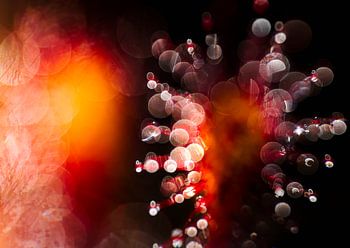 abstract zonnedauw