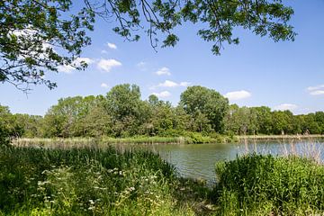 Par une belle journée de printemps... sur Miranda van Hulst