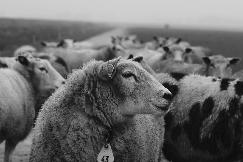 Puur Natuur by FrederikBerend Metalsema