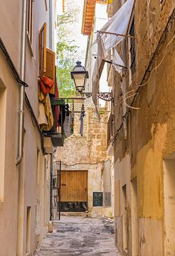 Straat in de oude stad van Palma de Majorca, Spanje van Alex Winter