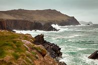 La côte rugueuse de l'Irlande par Astrid Volten Aperçu