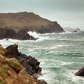 Rough Coast Ireland by Astrid Volten