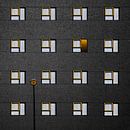 Simplicity with yellow frames by Inge Schuster thumbnail