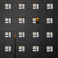 Simplicity with yellow frames