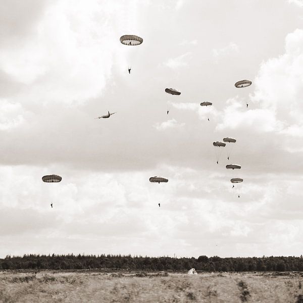 Parachutistes  par Tess Smethurst-Oostvogel