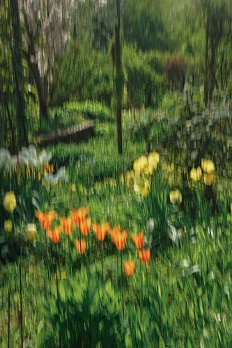 Monet's garden