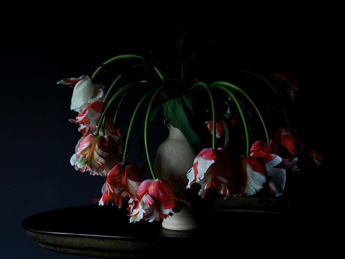 Vaas met Rembrandt tulpen