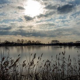 Frozen evening van Kristof Mentens