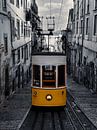 Gelbe Straßenbahn Lissabon, schwarz und weiß von Nynke Altenburg Miniaturansicht