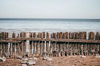 Salzwasser im Wattenmeer