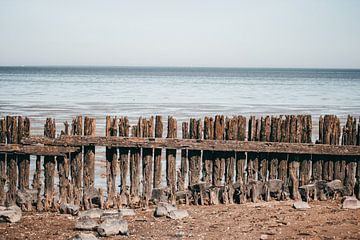 Zouthout bij het wad van Renskesphotography