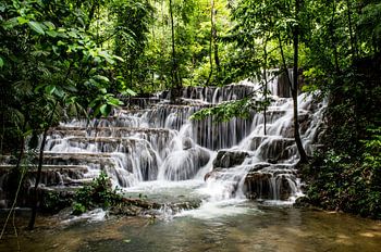 Paradiesischer Wasserfall im Regenwald
