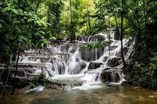 Paradiesischer Wasserfall im Regenwald