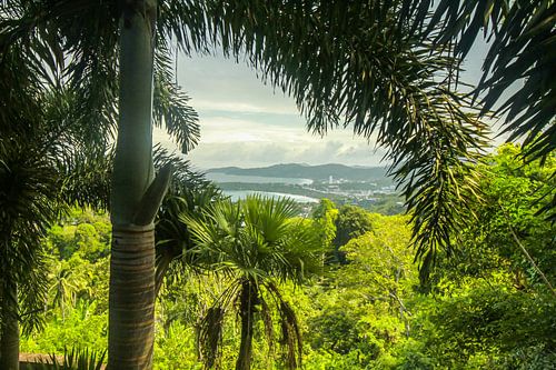 Panorama van Ruurd van der Meulen