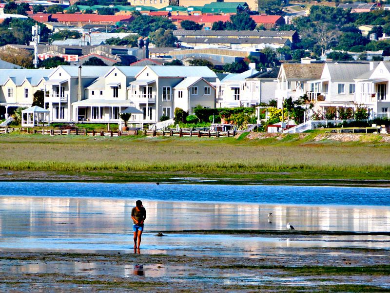 Spaziergang am Wasser von zam art