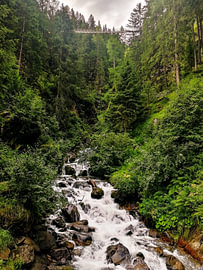 Mountain Stream and Suspended Footbridge in the Alpine Forests of Trentino by Strange Paradise