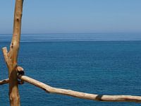BlueView