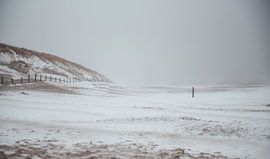 Tempête de neige en mer sur Sanne Dost