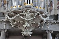 organ