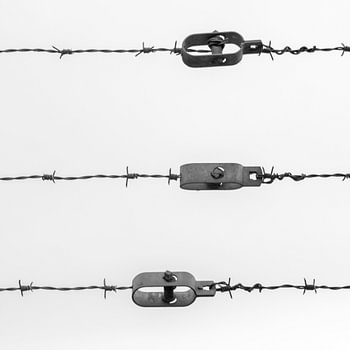 barbed wire