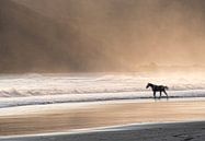 Paard in de zee bij zonsondergang van Marcel van Balken thumbnail