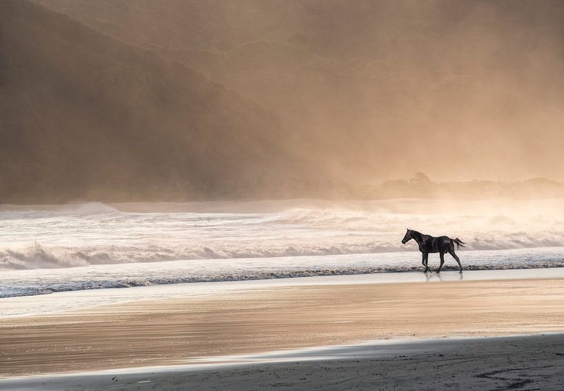 Paard in de zee bij zonsondergang van Marcel van Balken