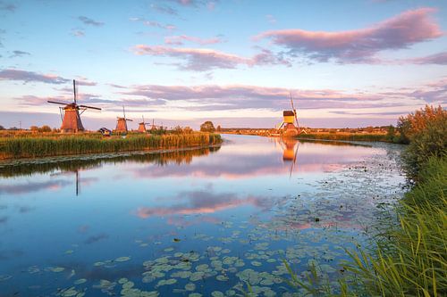 Kinderdijk in het gouden uur