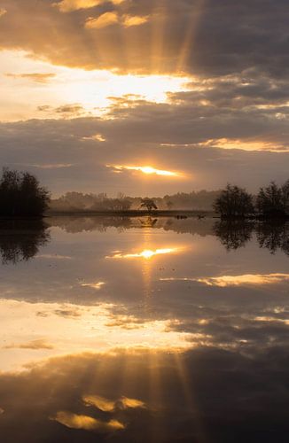 Reflections in nature