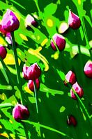 Chives in Pink & Green