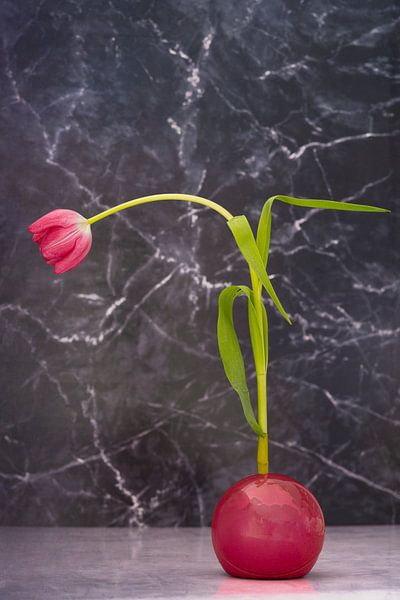 Dutch Ikebana 2. van Pieter van Roijen